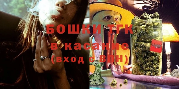 прущие грибы Аркадак