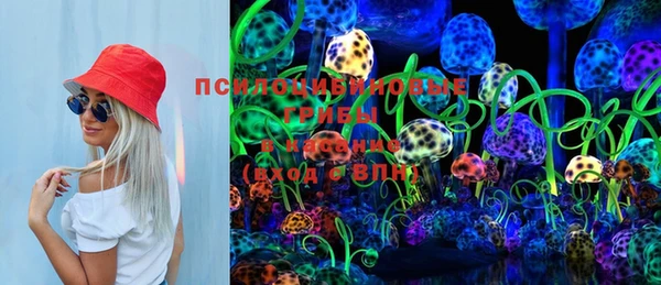 ГАЛЛЮЦИНОГЕННЫЕ ГРИБЫ Алексеевка