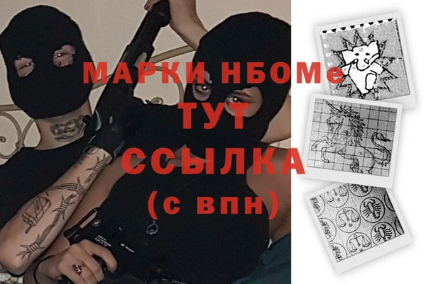 прущие грибы Аркадак