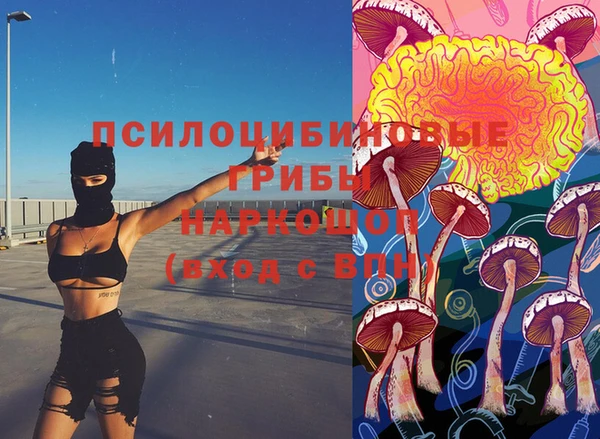 дживик Арсеньев