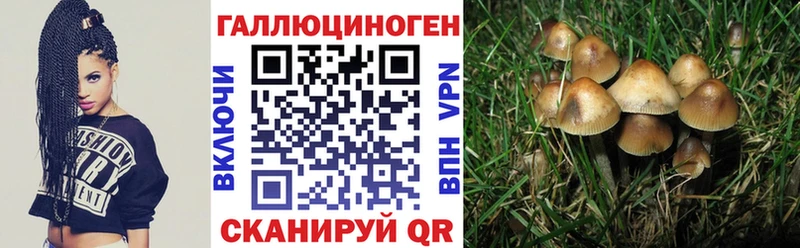 Псилоцибиновые грибы Psilocybe  где купить наркоту  Азов 